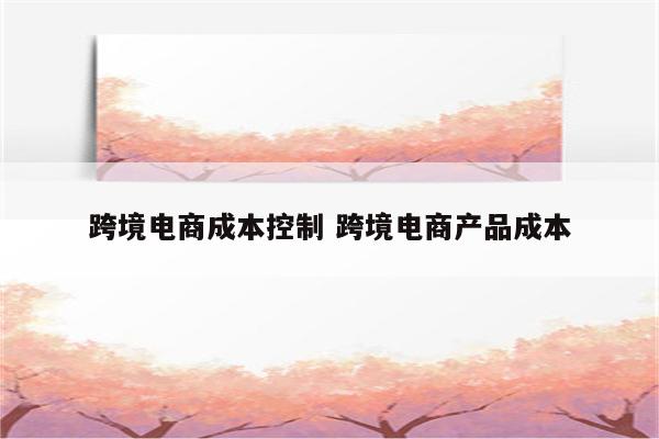 跨境电商成本控制 跨境电商产品成本