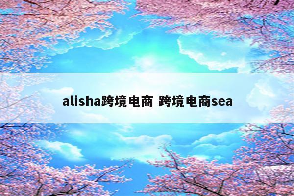 alisha跨境电商 跨境电商sea