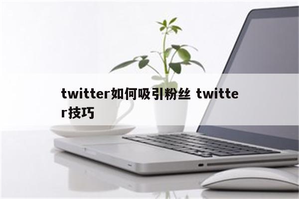 twitter如何吸引粉丝 twitter技巧