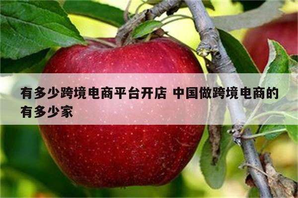 有多少跨境电商平台开店 中国做跨境电商的有多少家