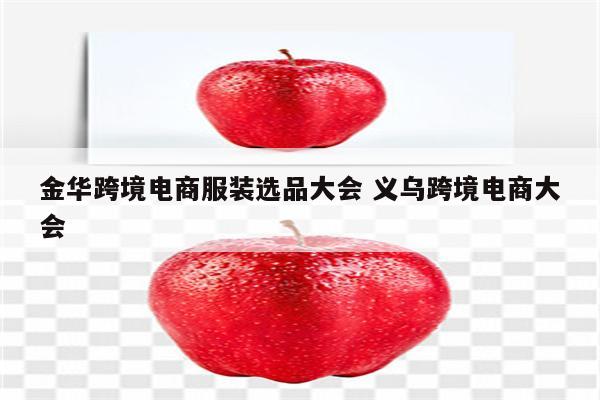 金华跨境电商服装选品大会 义乌跨境电商大会