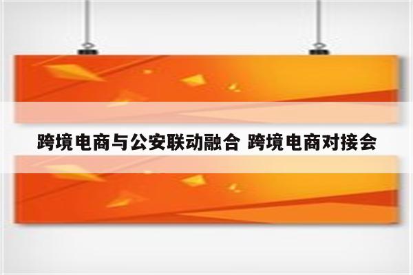 跨境电商与公安联动融合 跨境电商对接会