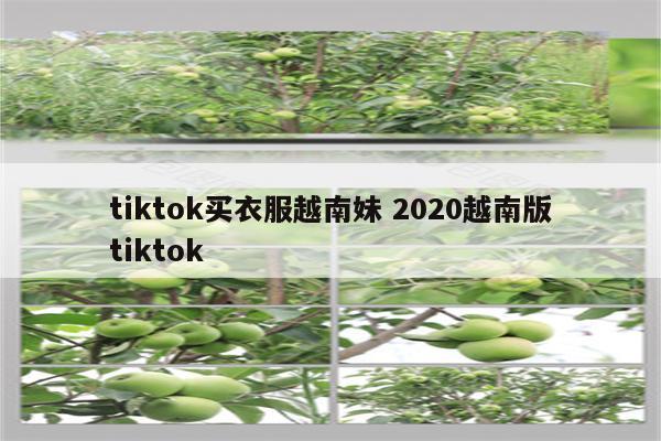tiktok买衣服越南妹 2020越南版tiktok