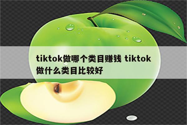 tiktok做哪个类目赚钱 tiktok做什么类目比较好