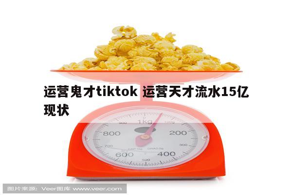 运营鬼才tiktok 运营天才流水15亿现状
