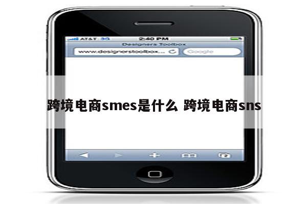 跨境电商smes是什么 跨境电商sns