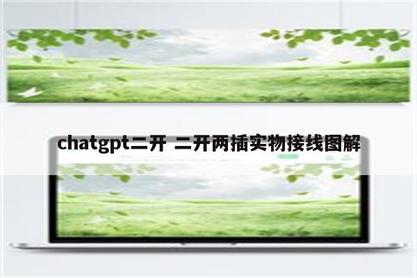 chatgpt二开 二开两插实物接线图解