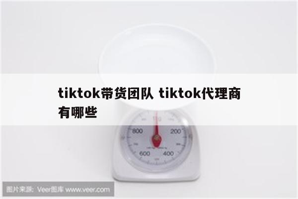 tiktok带货团队 tiktok代理商有哪些