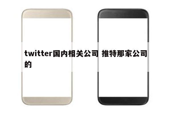 twitter国内相关公司 推特那家公司的