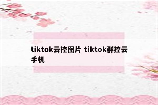 tiktok云控图片 tiktok群控云手机