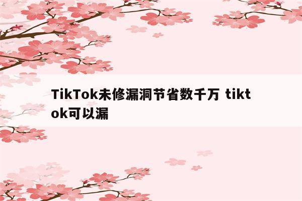 TikTok未修漏洞节省数千万 tiktok可以漏