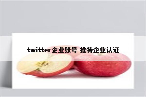 twitter企业账号 推特企业认证