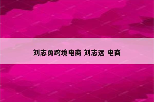 刘志勇跨境电商 刘志远 电商