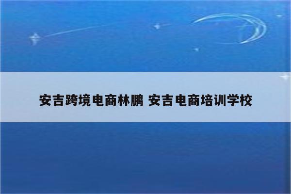 安吉跨境电商林鹏 安吉电商培训学校