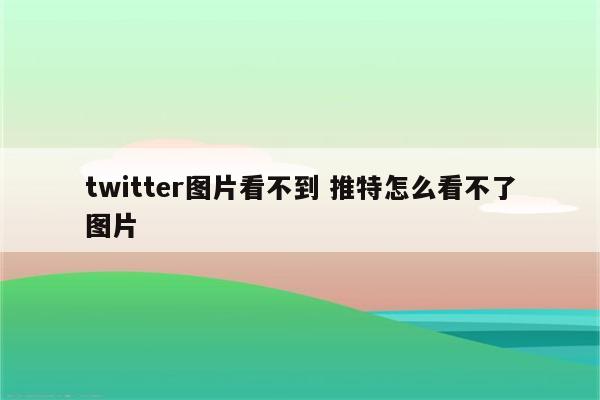 twitter图片看不到 推特怎么看不了图片