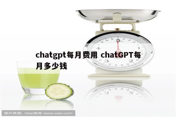 chatgpt每月费用 chatGPT每月多少钱