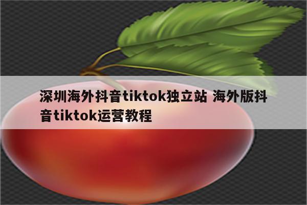 深圳海外抖音tiktok独立站 海外版抖音tiktok运营教程