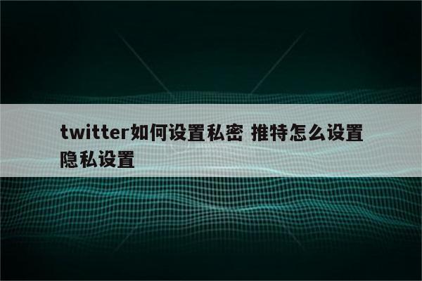 twitter如何设置私密 推特怎么设置隐私设置