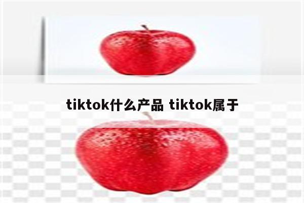 tiktok什么产品 tiktok属于