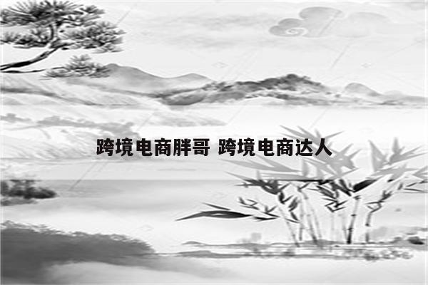 跨境电商胖哥 跨境电商达人