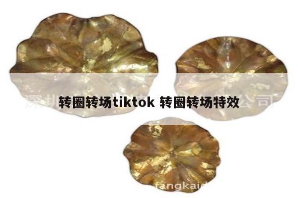 转圈转场tiktok 转圈转场特效
