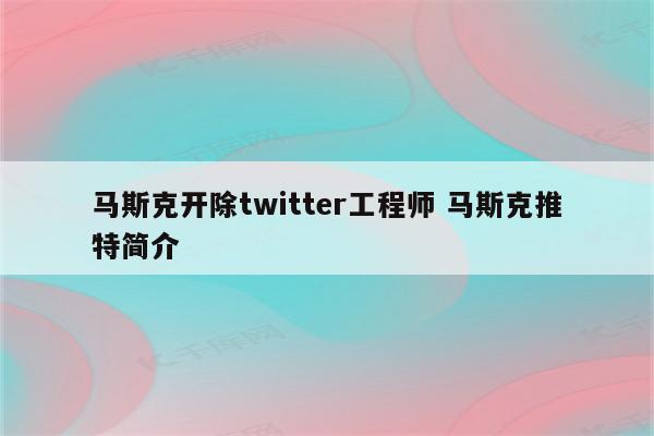 马斯克开除twitter工程师 马斯克推特简介