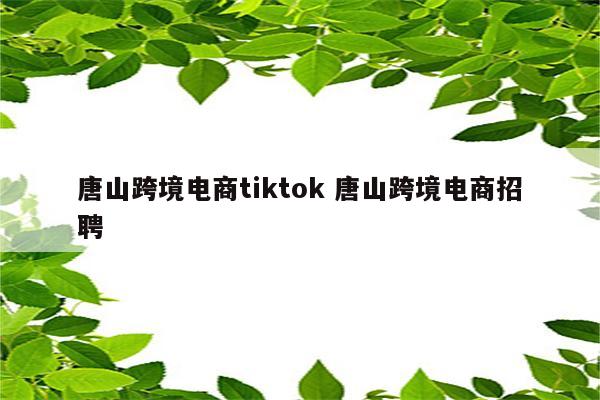 唐山跨境电商tiktok 唐山跨境电商招聘