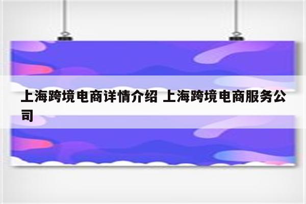上海跨境电商详情介绍 上海跨境电商服务公司
