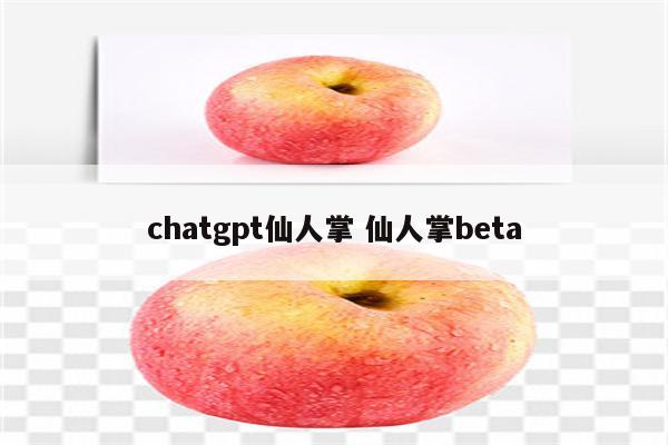 chatgpt仙人掌 仙人掌beta