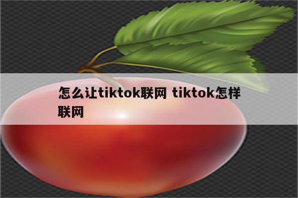 怎么让tiktok联网 tiktok怎样联网