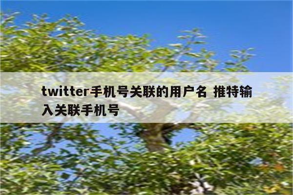 twitter手机号关联的用户名 推特输入关联手机号