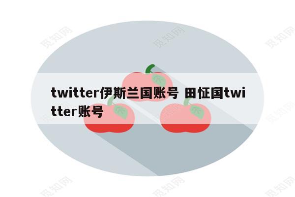twitter伊斯兰国账号 田怔国twitter账号