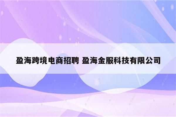 盈海跨境电商招聘 盈海金服科技有限公司