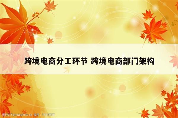 跨境电商分工环节 跨境电商部门架构