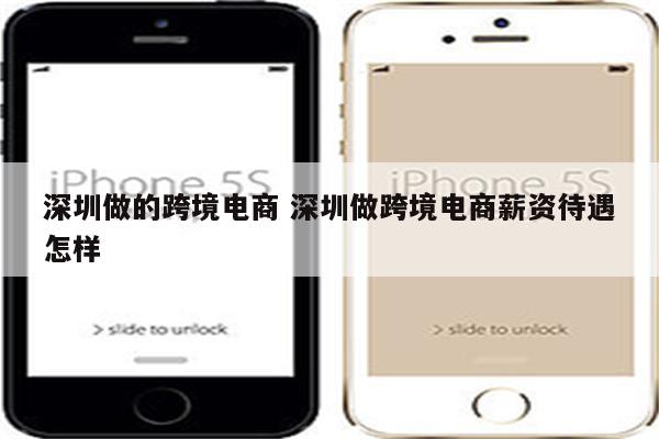 深圳做的跨境电商 深圳做跨境电商薪资待遇怎样