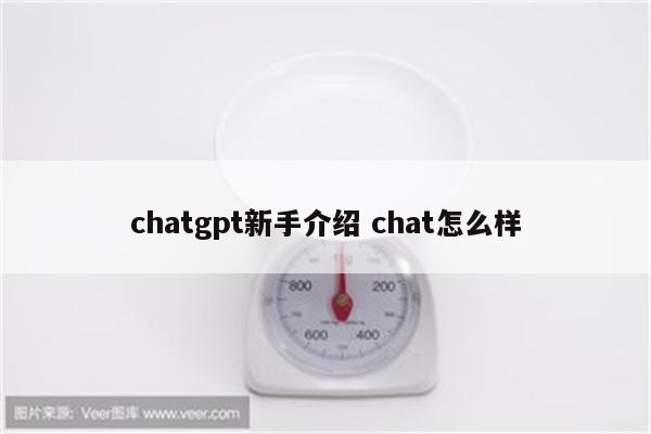 chatgpt新手介绍 chat怎么样