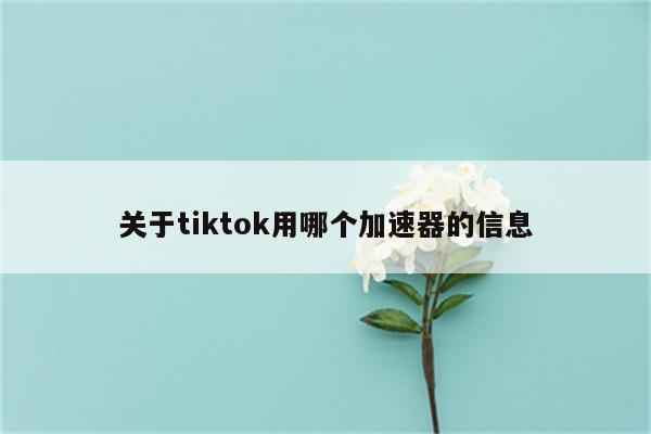 关于tiktok用哪个加速器的信息