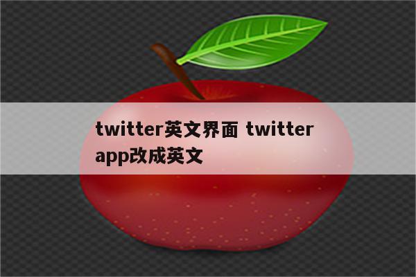 twitter英文界面 twitter app改成英文