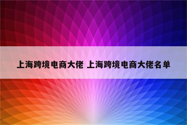 上海跨境电商大佬 上海跨境电商大佬名单