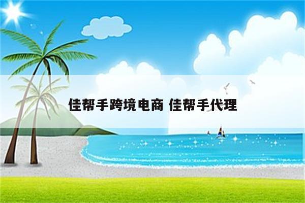 佳帮手跨境电商 佳帮手代理
