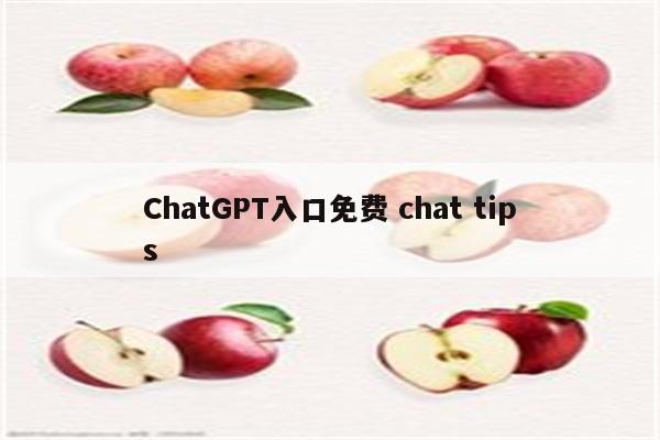 ChatGPT入口免费 chat tips