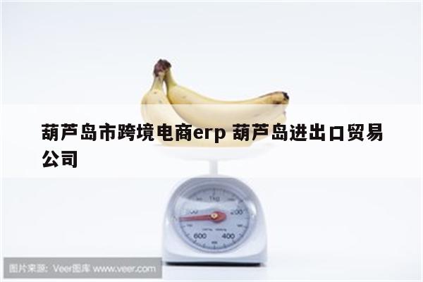 葫芦岛市跨境电商erp 葫芦岛进出口贸易公司