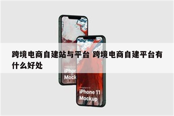 跨境电商自建站与平台 跨境电商自建平台有什么好处