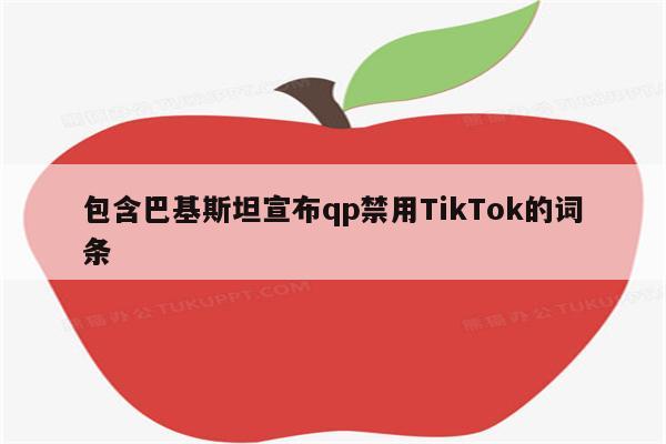 包含巴基斯坦宣布qp禁用TikTok的词条