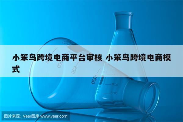 小笨鸟跨境电商平台审核 小笨鸟跨境电商模式