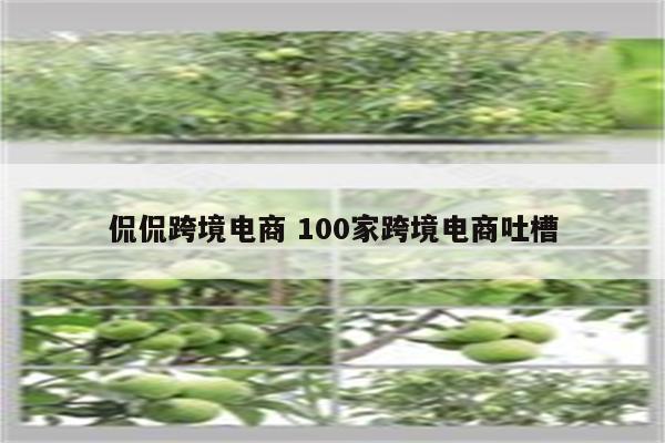 侃侃跨境电商 100家跨境电商吐槽