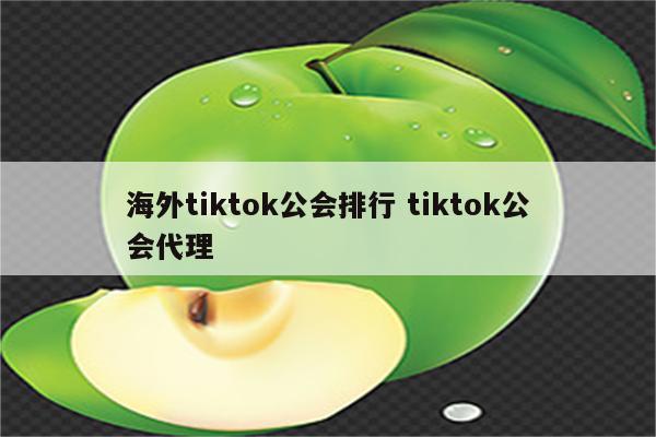 海外tiktok公会排行 tiktok公会代理