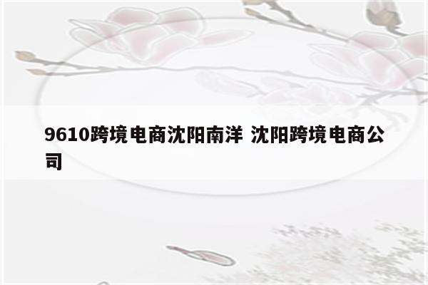 9610跨境电商沈阳南洋 沈阳跨境电商公司