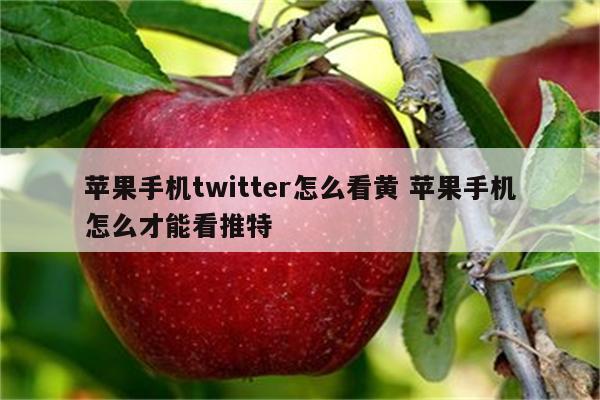 苹果手机twitter怎么看黄 苹果手机怎么才能看推特