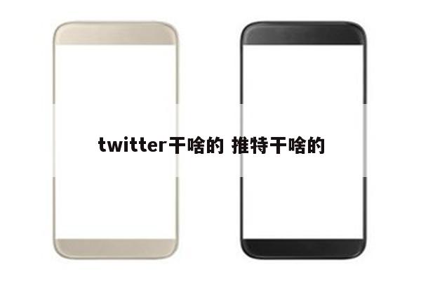 twitter干啥的 推特干啥的